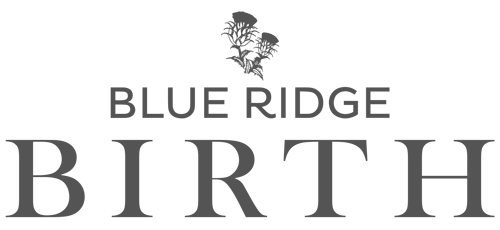 blueridgelogo